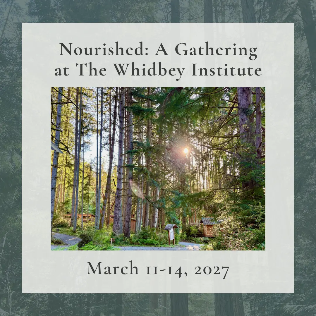 Nourished: A Gathering at The Whidbey Institute, March 11-14, 2027. Sunlight through tall evergreen trees on the Whidbey Institute campus.
